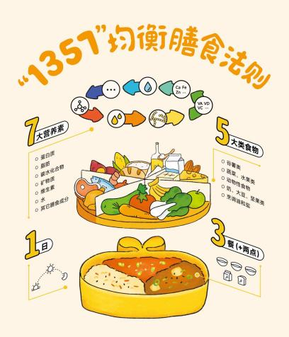 窝小芽“1357均衡膳食法则”